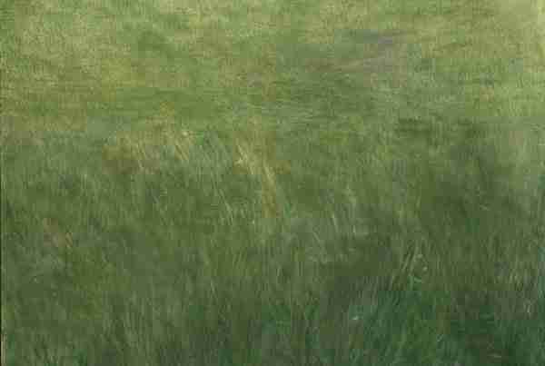 Eduardo Santos Guada